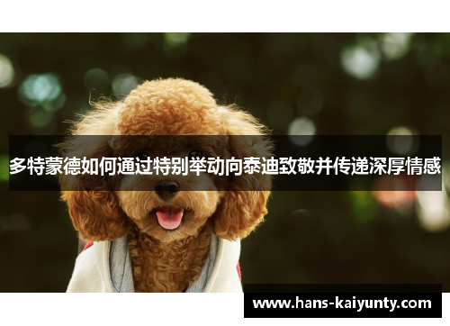 多特蒙德如何通过特别举动向泰迪致敬并传递深厚情感 多特蒙德如何通过特别举动向泰迪致敬并传递深厚情感