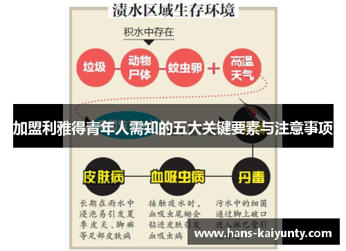 加盟利雅得青年人需知的五大关键要素与注意事项 加盟利雅得青年人需知的五大关键要素与注意事项