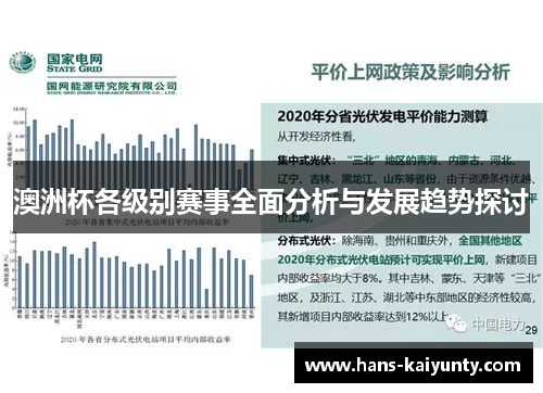 澳洲杯各级别赛事全面分析与发展趋势探讨