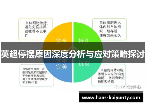 英超停摆原因深度分析与应对策略探讨