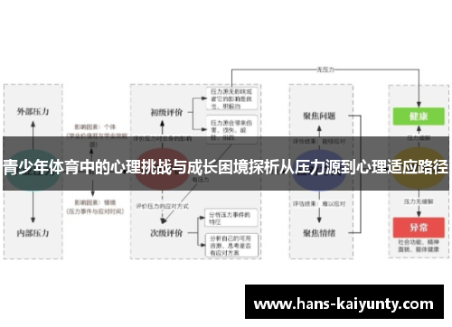 青少年体育中的心理挑战与成长困境探析从压力源到心理适应路径